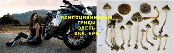молекула духа Верея