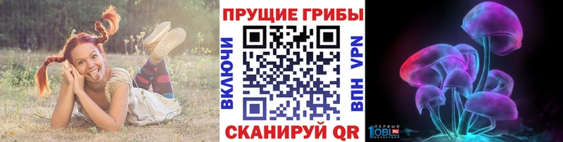 даркнет сайт  Петушки  Псилоцибиновые грибы ЛСД 
